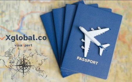 vXglobal.co: Revolutionizing Immigration Services with Integrity and Success
