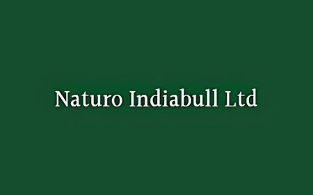 Naturo Indiabull’s profit jumps over 114 percent to Rs. 49.3 lakh in first half of FY 2025