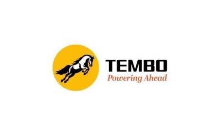 Tembo Global Expands Board with Appointment of New CFO and Four Independent Directors