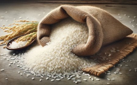 Bagadiya Brothers Pvt Ltd Wins Four Rice Export Tenders with Bangladesh