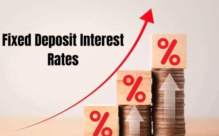 Is Now the Right Time for Senior Citizens to Secure High FD Rates Before a Potential Decline?
