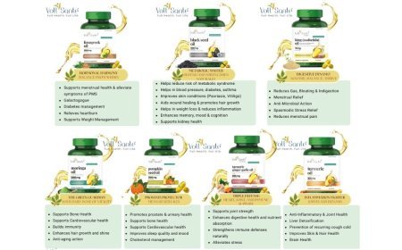 How Vollsante Is Making Plant-Based Nutrition Mainstream