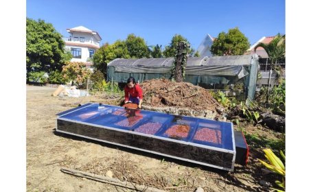 Rudra Solar Energy Brings a Sunshine Revolution to Rural India with New-Age Solar Dryers