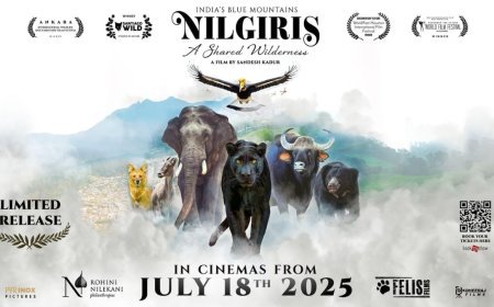 ‘Nilgiris: A Shared Wilderness’ Wildlife Documentary Film to Release in Theatres Nationwide