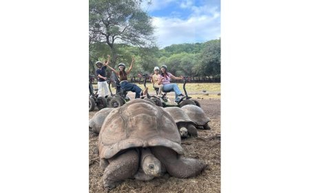 Jatin Dharna’s Jolly Motion Pictures Unveils Captivating Travel Campaign Featuring Shweta and Palak Tiwari