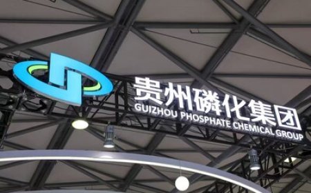 A New Booster of Intelligent Manufacturing in Guizhou: How Does New Digital Infrastructure Empower Industrial Upgrading?