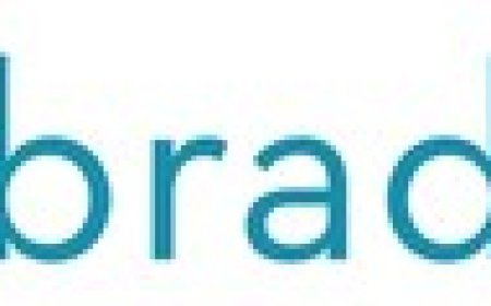 Strategic Optimism Amid Domestic Stability: Small Businesses Recalibrate Plans in Response to Evolving Demand and Profitability Trends - ASSOCHAM Dun & Bradstreet Small Business Confidence Index