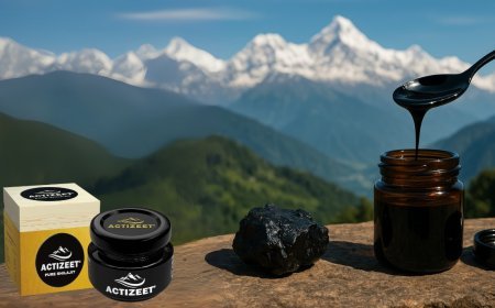 Authentic Shilajit: Why ACTIZEET Leads the Market