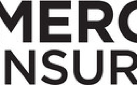 Mercury Insurance Creates a New Vibe for Texas Music Fans at Dos Equis Pavilion