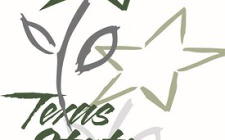 Texas Floral Showcase Blooms in Tyler Sept. 24, 2025, With Renowned Designer Deborah De La Flor AIFD, CFD, PFCI