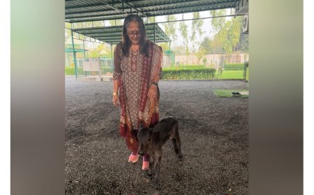 Gujarat’s DHUNN Charitable Trust Announces Historic Miniature Breeding Triumph: 20-Inch Calf ‘HARINI’ Born To Registered Indigenous Parents Petlad/Dharamraj, Gujarat