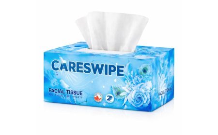 Careswipe: Redefining Everyday Hygiene with Quality and Care
