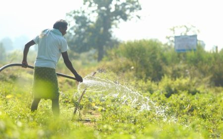 Vedanta Aluminium Enables Irrigation Across 800+ Acres in 41 Villages of Kalahandi